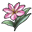 彼岸花